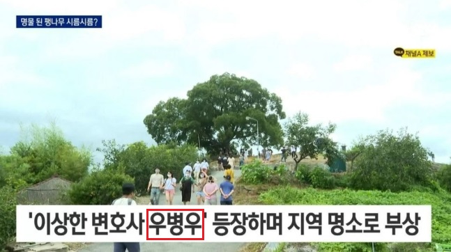 ▲ 출처| 채널A 뉴스 영상 캡처