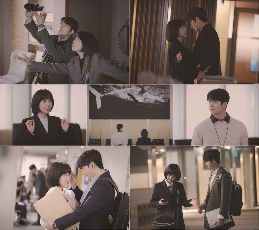 ▲ 이상한 변호사 우영우. 제공ㅣ에이스토리