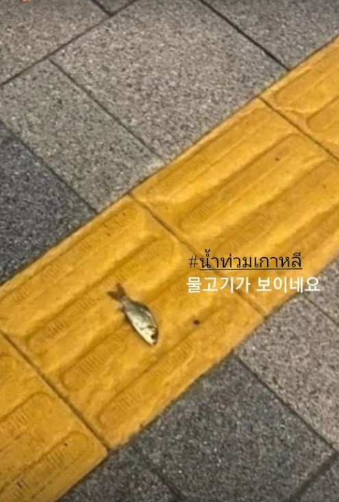 ▲ 출처| 신주아 인스타그램