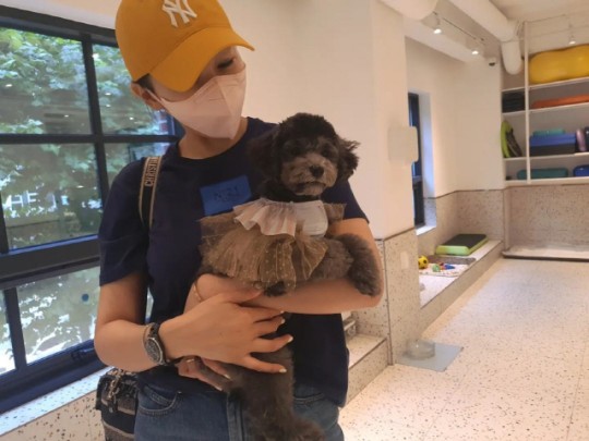 ▲ 한영. 출처| 한영 인스타그램
