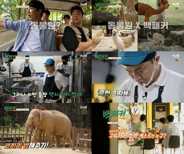 ▲ tvN 예능 '백패커'. 제공| tvN