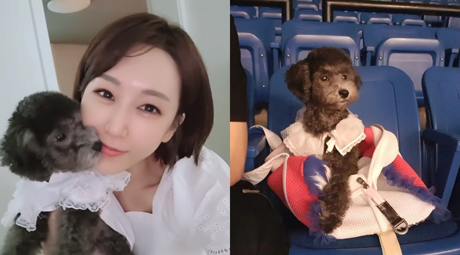 ▲ 한영. 출처| 한영 인스타그램