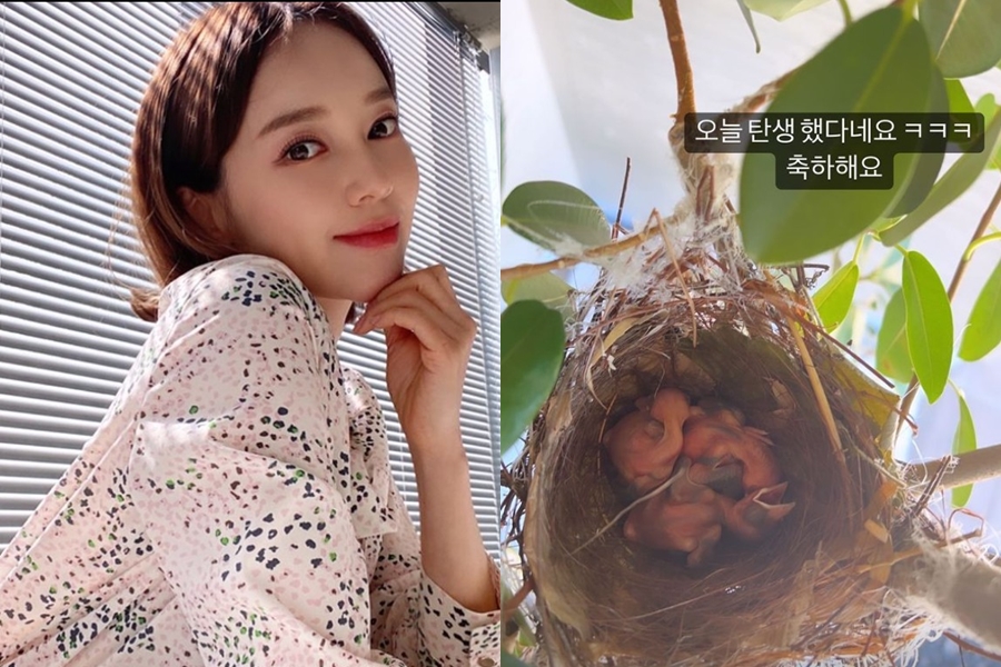 ▲ 출처|아유미 인스타그램