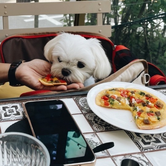▲ 손예진이 공개한 사진. 출처| 손예진 인스타그램