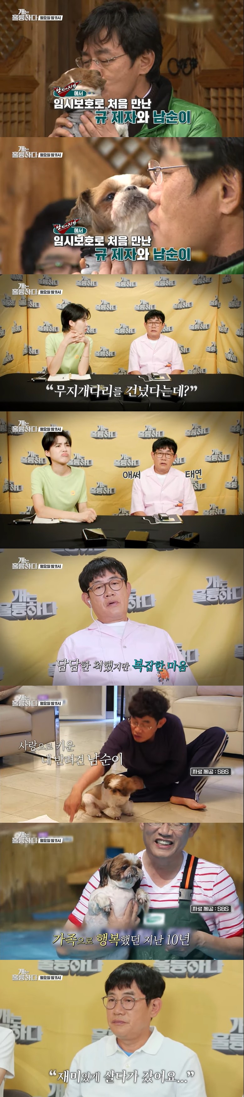 이경규, 사랑으로 키운 남순이 떠나보냈다…"호상이었다" '먹먹'