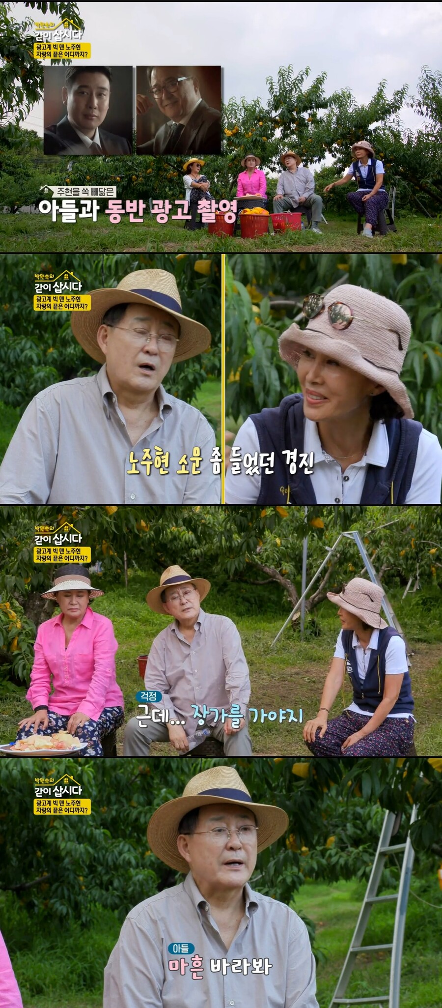 노주현, 아들 사망설에 "사실 아냐…마흔 바라보는 미혼"('같이삽시다')