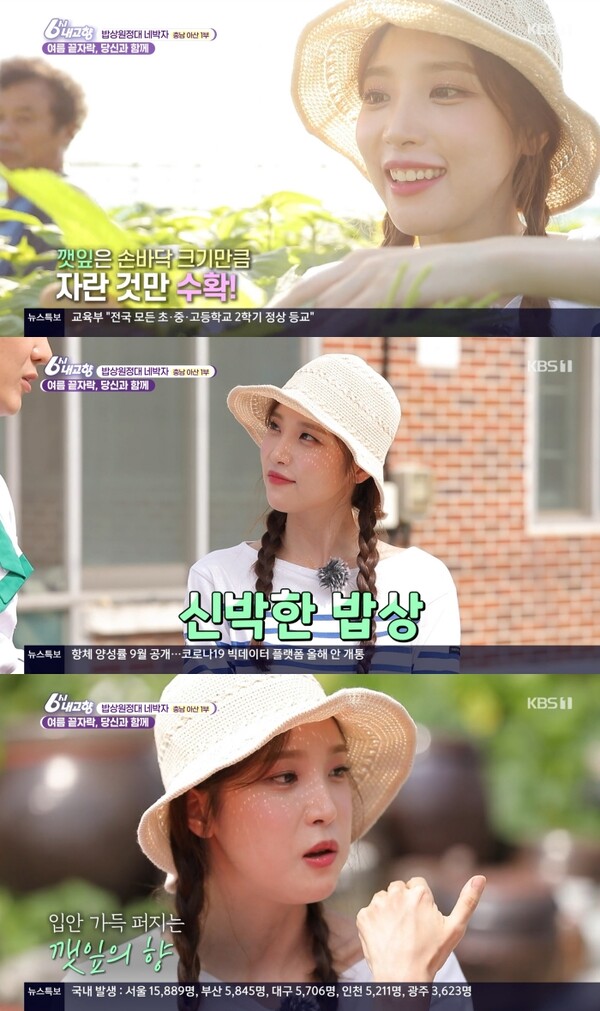 ▲ 8월 31일 방송된 KBS1 '6시 내고향'. 방송화면 캡처