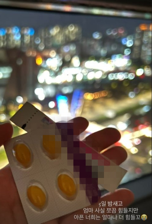 ▲  출처| 최선정 인스타그램
