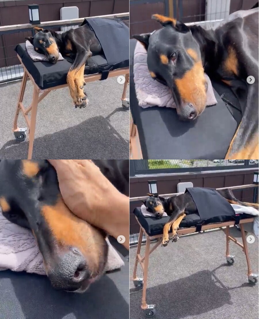 ▲ 출처|배정남 인스타그램