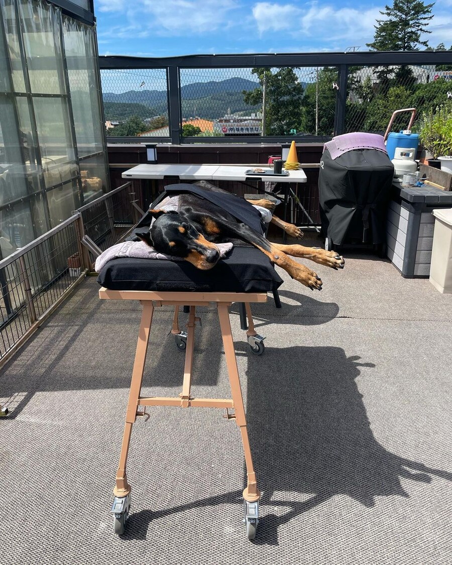▲ 출처|배정남 인스타그램