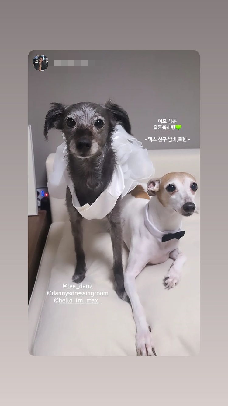 출처|이다은 인스타그램