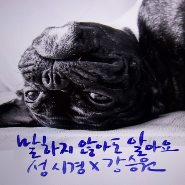 ▲ 성시경이 부른 '말하지 않아도 알아요' 커버. 제공|강승원2집문화산업전문 유한회사