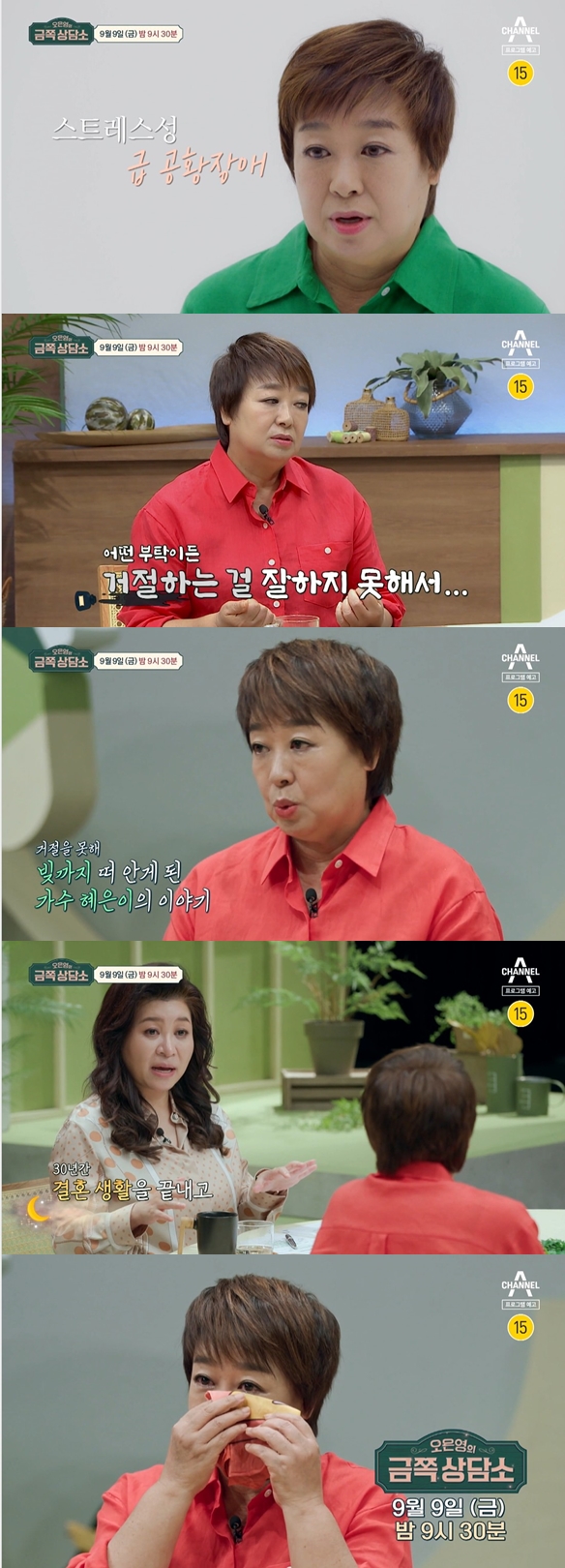 '이혼 후 200억 빚' 혜은이 "스트레스성 급 공황장애, 무서운 병"('금쪽상담소')