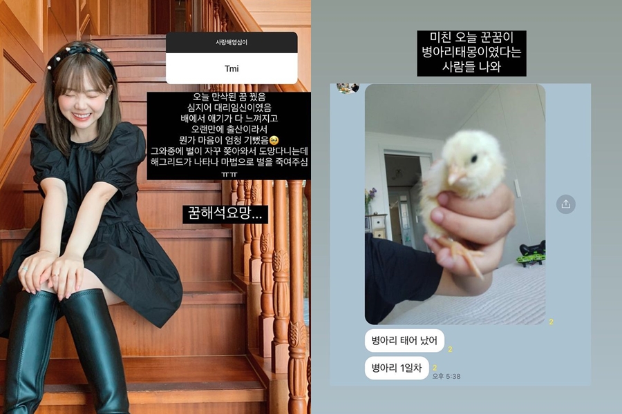 '애둘맘' 홍영기, 만삭 꿈 꿨다더니 "병아리 태몽"…'기가 막혀'