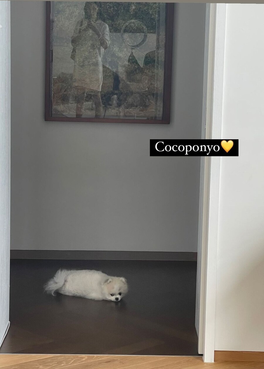 ▲  출처|고소영 인스타그램