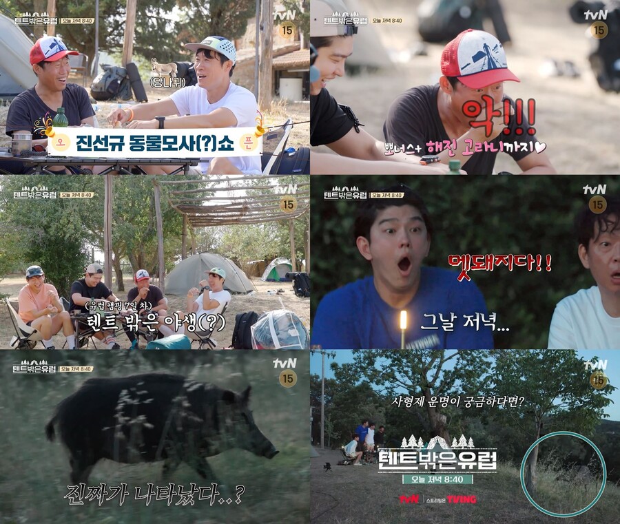 ▲ tvN 예능 프로그램 '텐트 밖은 유럽' 8회. 제공| tvN
