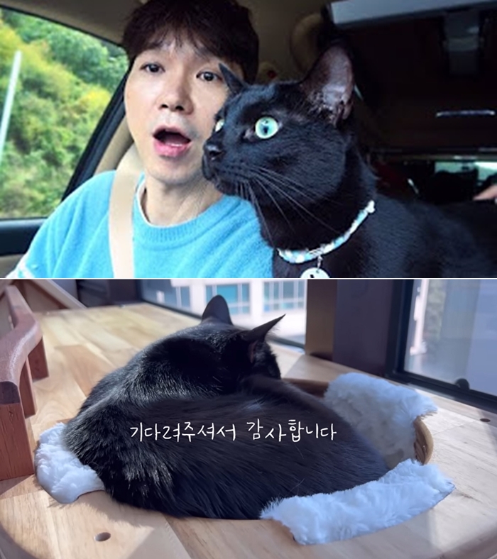 ▲ 근황을 알린 박수홍과 반려묘 다홍이. 출처|검은고양이 다홍 유튜브