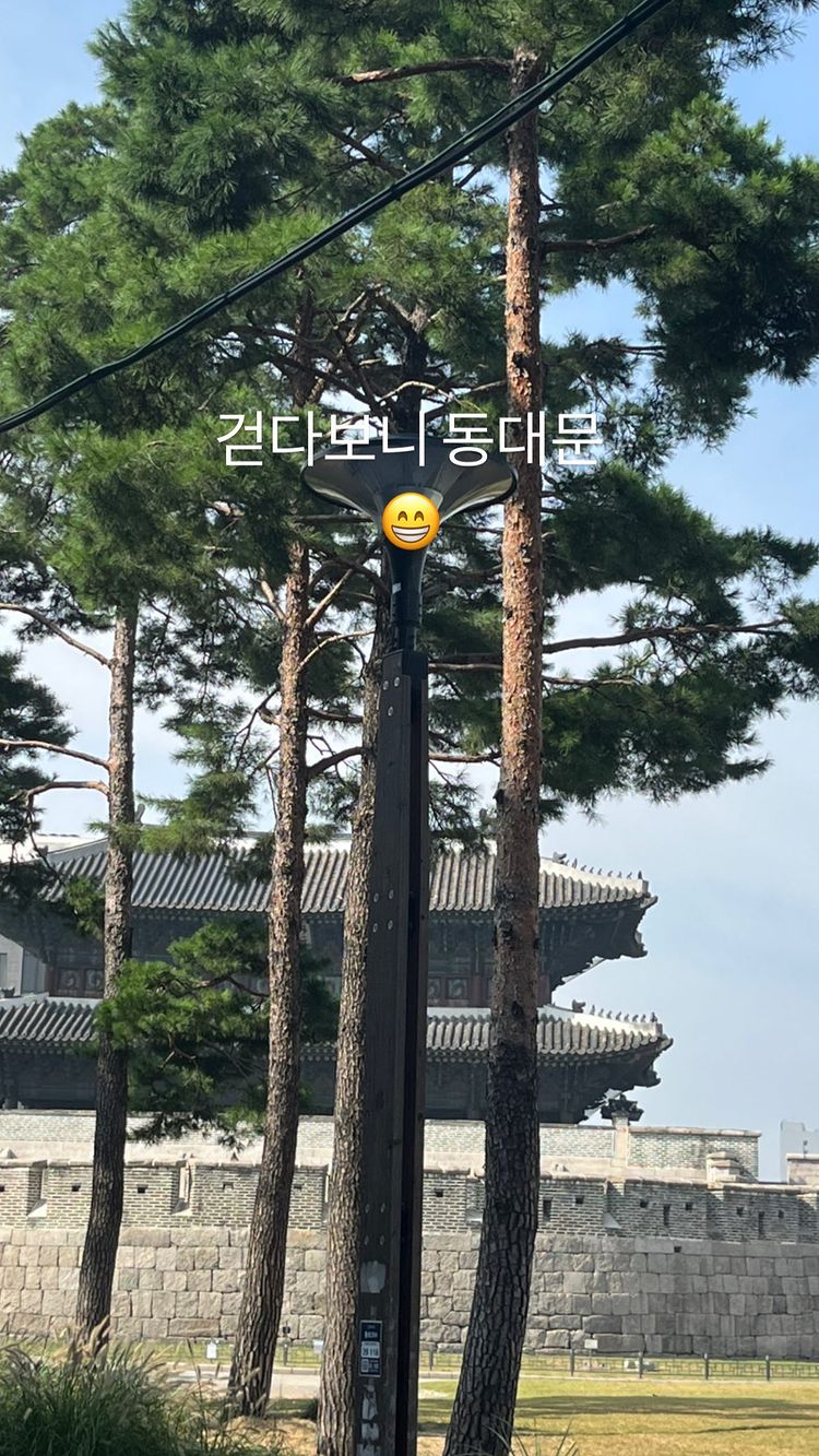 장미인애, 걷다보니 대학로 간 만삭 임산부…남산같은 D라인