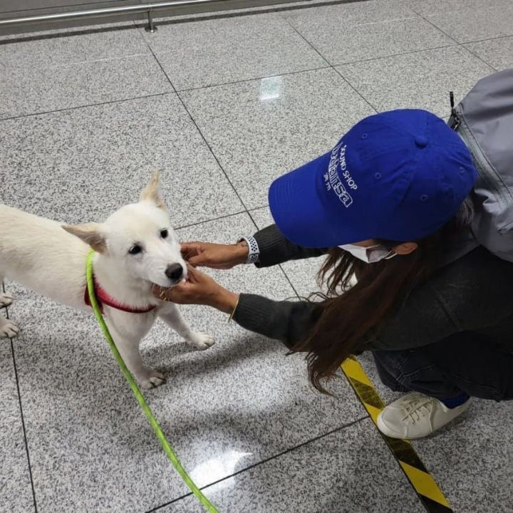 ▲ 긴 머리로 돌아온 이효리. 출처|이효리 친언니 인스타그램