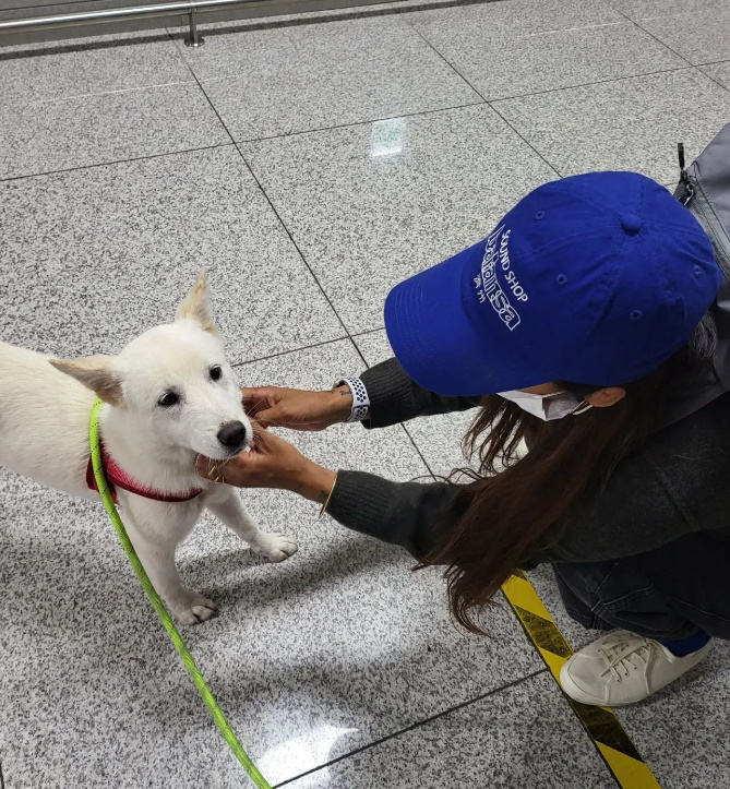 ▲ 가수 이효리. 출처| TWU 인스타그램