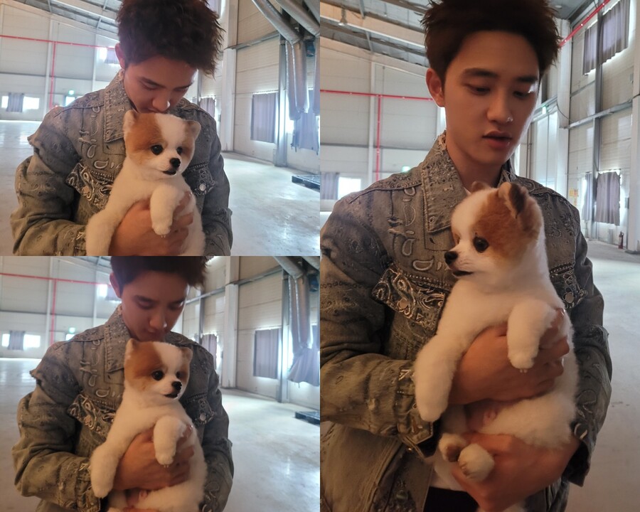 ▲ 도경수. 제공ㅣSM엔터테인먼트