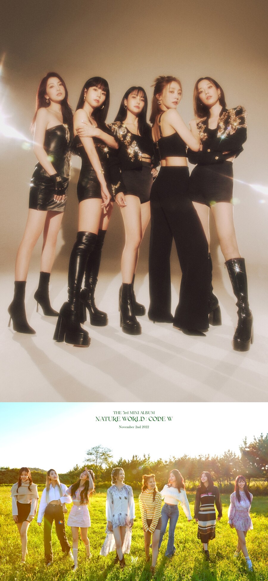 ▲ 카라(위), 네이처. 제공|RBW, n.CH엔터테인먼트