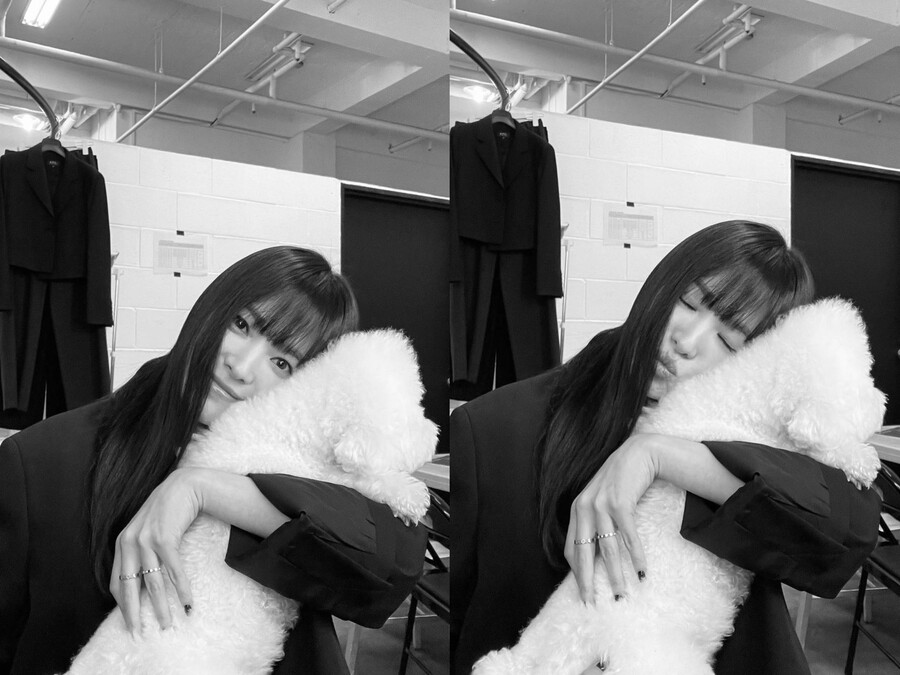 ▲ 출처| 송혜교 인스타그램