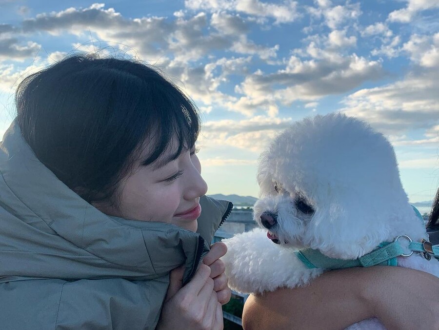 ▲ 출처|수지 인스타그램