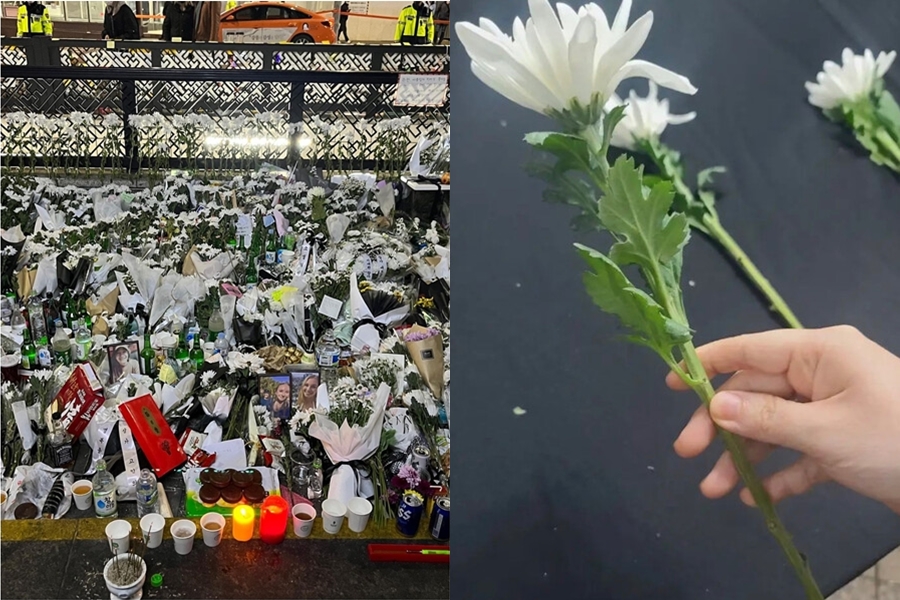 결혼식 연기, 운구비 지원→합동분향소로, 이태원으로 "애도는 계속"[종합]