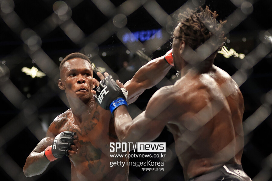 챔피언이지만 도전자다…아데산야, 천적과 운명의 3차전