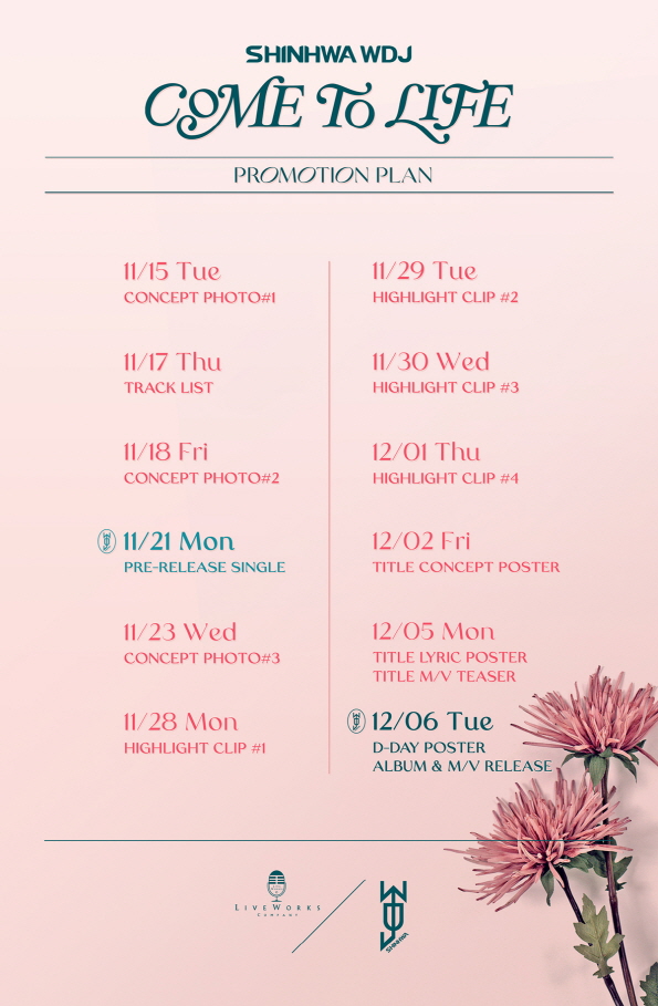 ▲ 신화 WDJ 프로모션 플랜. 제공| 라이브웍스컴퍼니