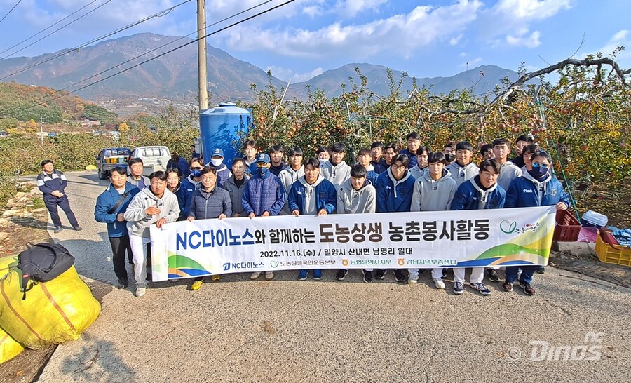 ▲ 밀양시 사과농가 일손 돕기에 참여한 NC 다이노스 ⓒ NC 다이노스