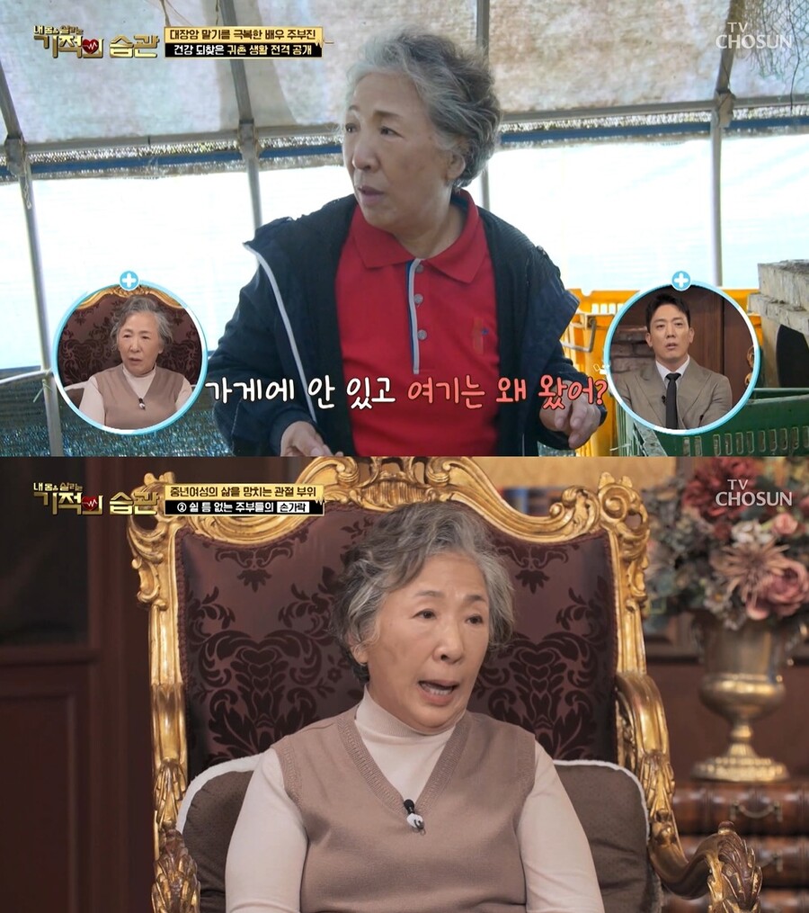 ▲ 출처|TV조선 '기적의 습관' 방송화면 캡처