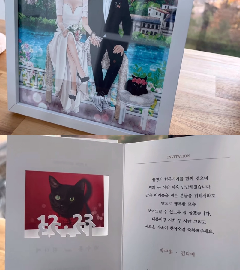 ▲ 출처| 유튜브 채널 '검은고양이 다홍' 영상 캡처