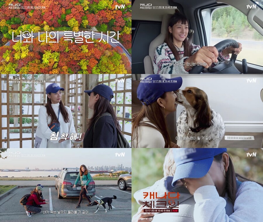▲ '캐나다 체크인' 티저. 제공| tvN