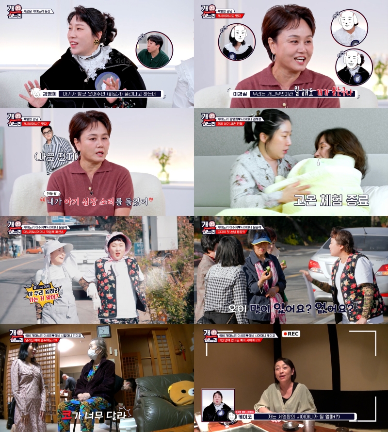 이경실, 고부관계도 호탕 "며느리, 집에 일찍 갔으면"('개며느리')