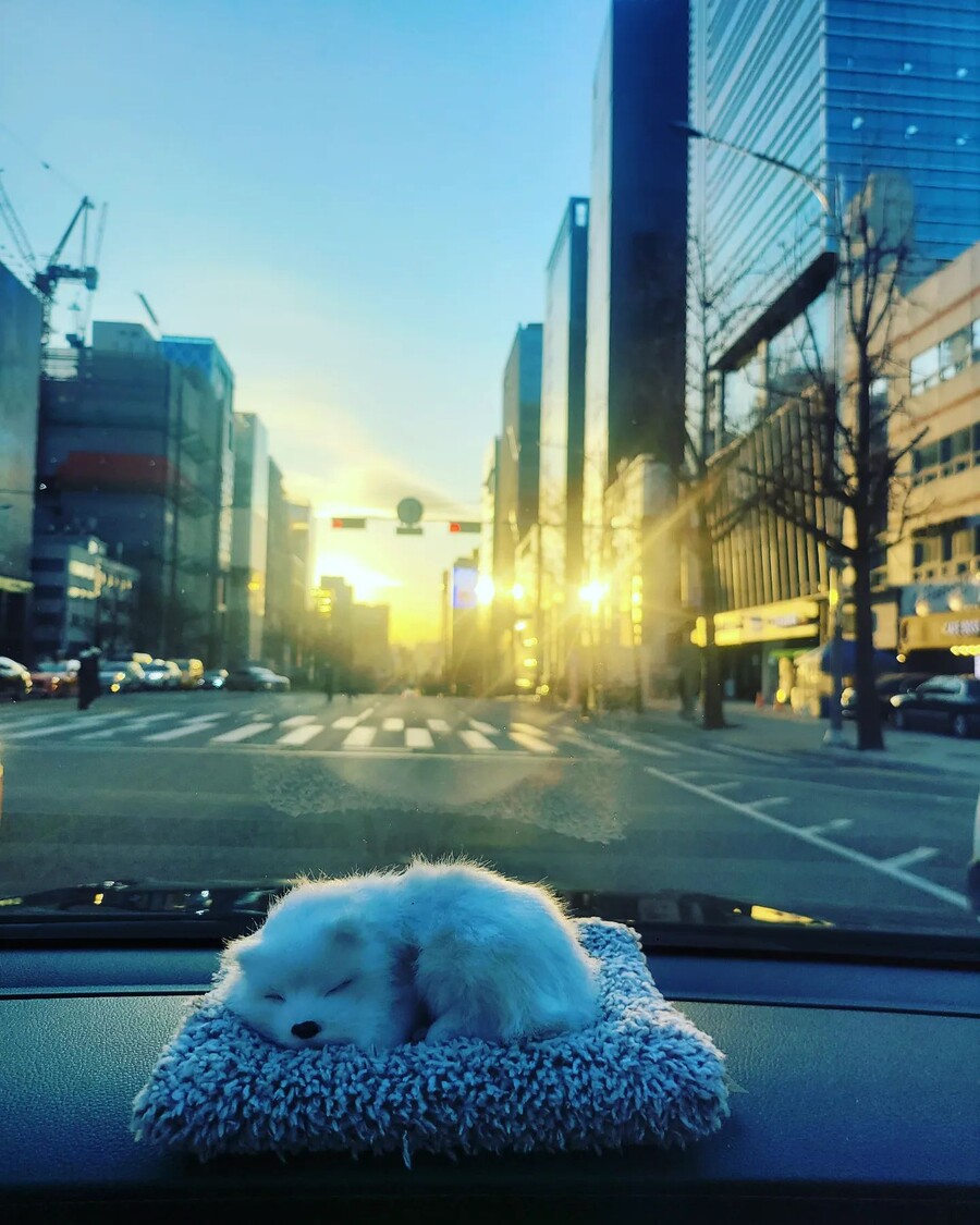 ▲ 이주노. 출처ㅣ이주노 인스타그램