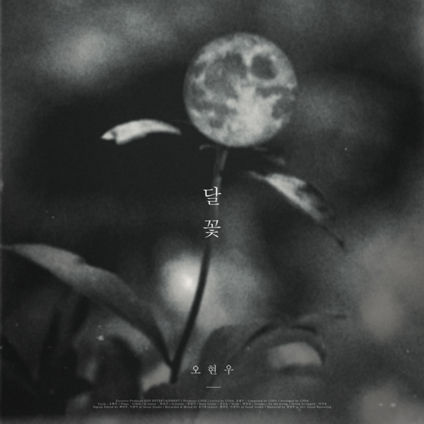 ▲ 오현우 데뷔 싱글 '달꽃' 커버 이미지. 제공|KDH엔터테인먼트