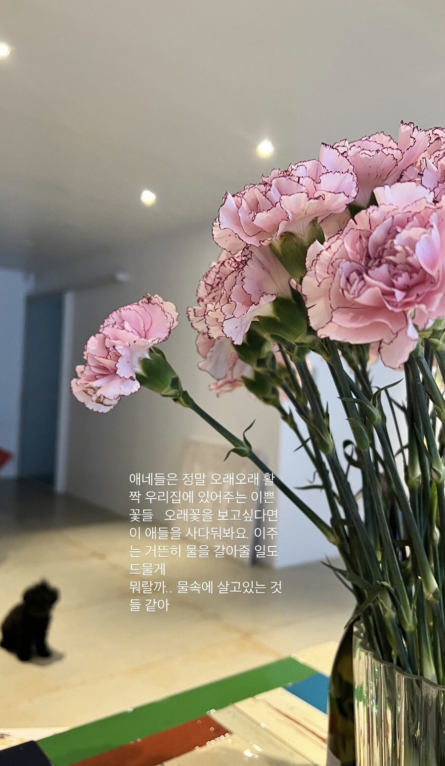 ▲ 출처| 공효진 인스타그램