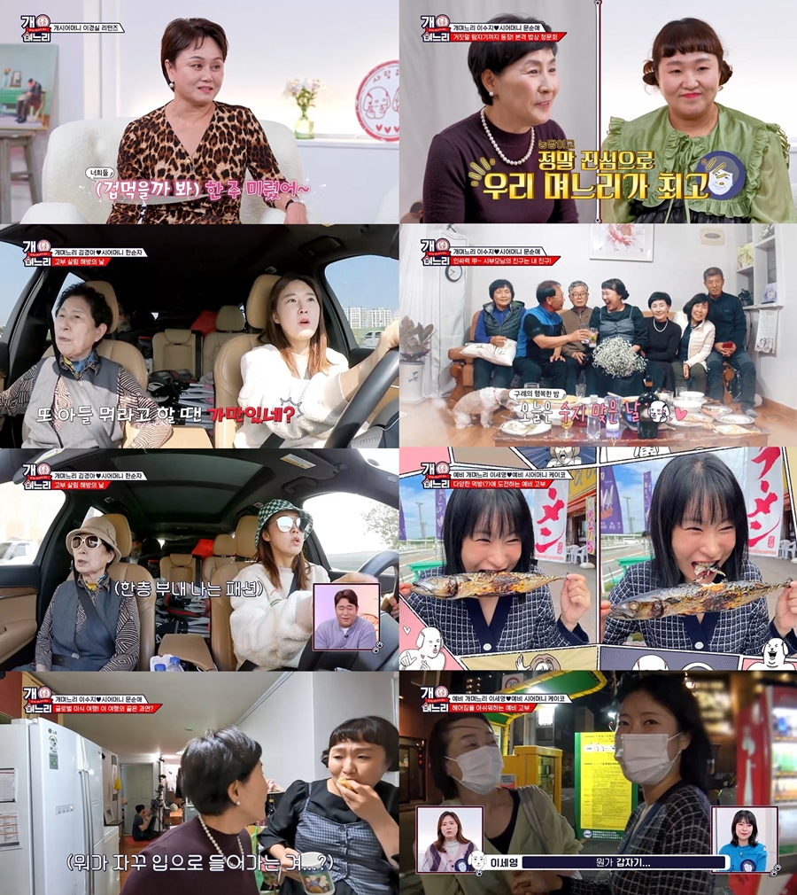 이경실, 후배들에 참조언 "모두가 유재석 될 순 없어…욕먹는 것 두려워 말길"('개며느리')