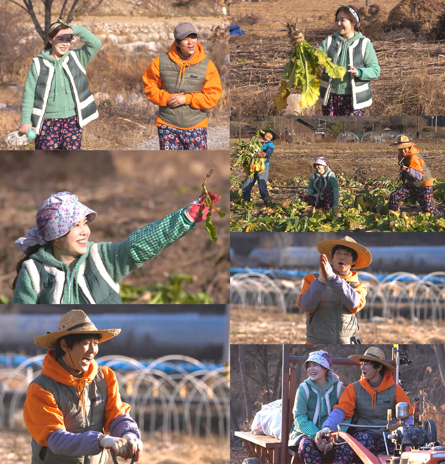▲ KBS2 예능프로그램 '세컨하우스' 최수종, 하희라 부부. 제공| KBS