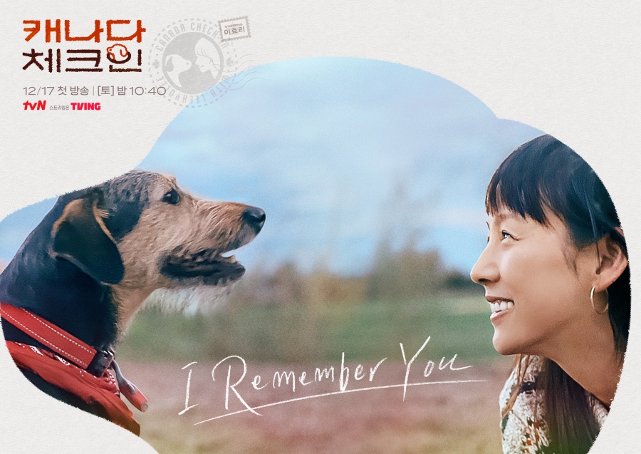 ▲ tvN 예능프로그램 '캐나다 체크인' 메인 포스터. 제공| tvN