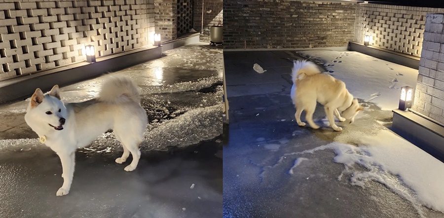 ▲ 출처ㅣ이연복 인스타그램