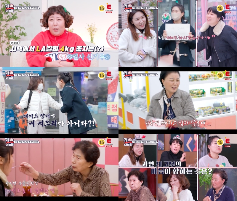 ▲ 캐스트 E채널 예능 프로그램 '개며느리'. 제공| 티캐스트
