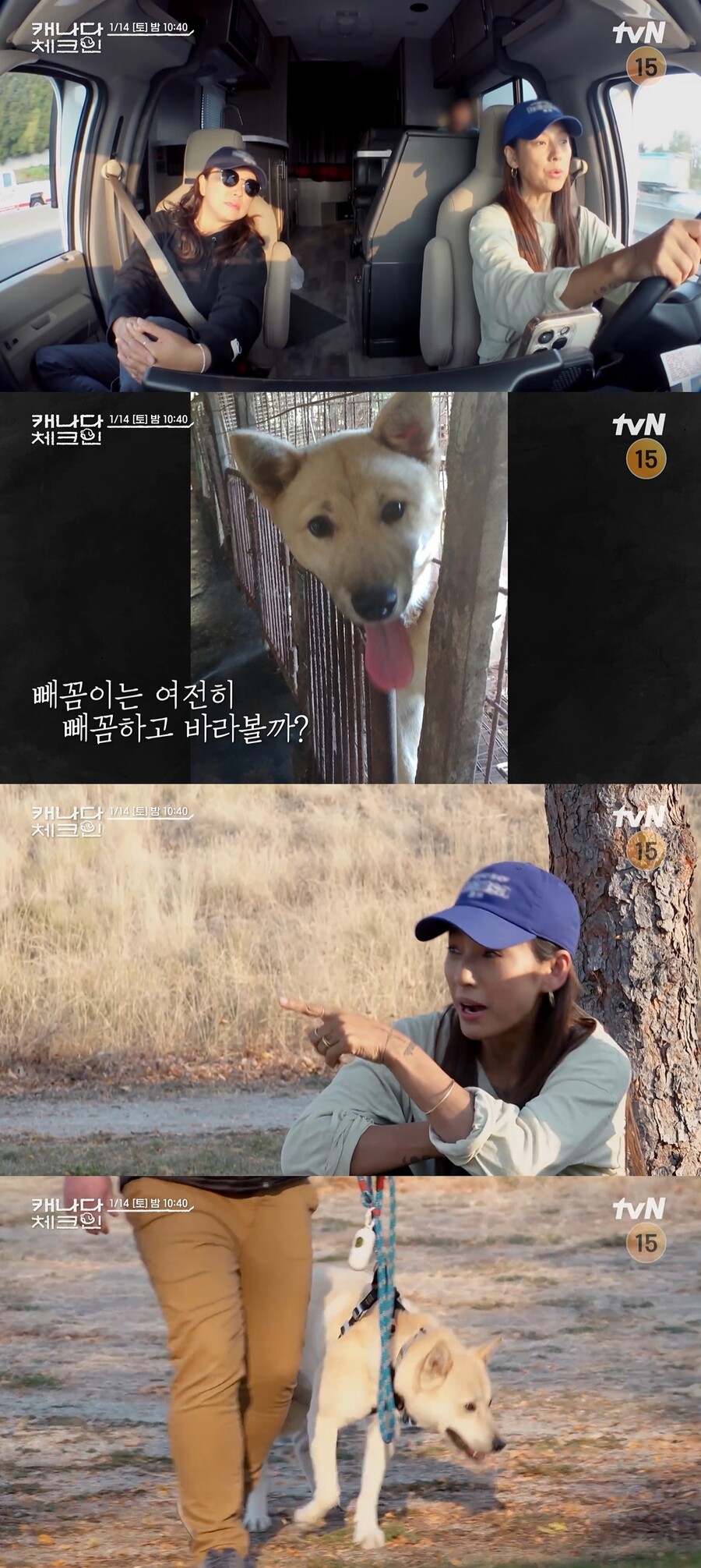 ▲ 출처| 티빙 오리지널 '캐나다 체크인' 예고 영상 캡처