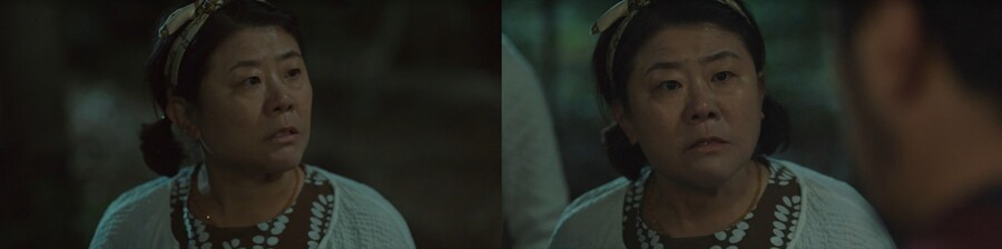 ▲ 이정은. 제공|tvN '미씽2'