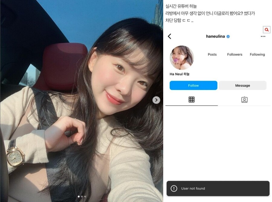 ▲ 출처| 유튜버 하늘, 온라인 커뮤니티