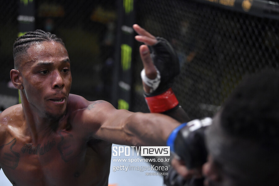자마할 힐이 누구야?…테세이라 꺾고 UFC 새 챔피언 등극