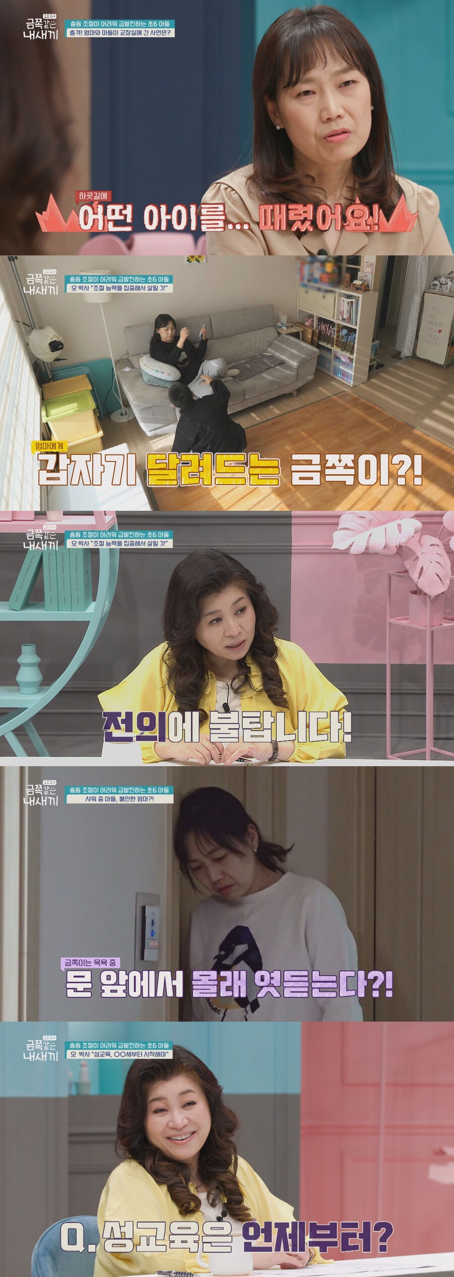 ▲ 제공| 채널A '요즘 육아 - 금쪽같은 내 새끼'
