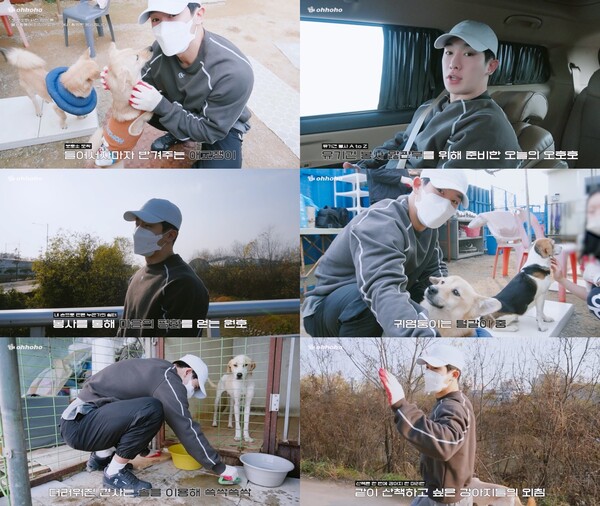 ▲ 유튜브 채널 '오호호'를 통해 유기견 보호소 봉사 활동 비하인드를 공개한 원호. 제공|유튜브 화면 캡처
